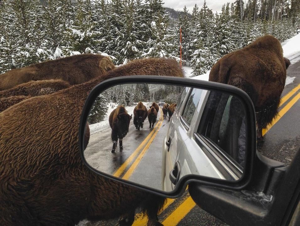 #44. Wyoming